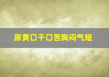 尿黄口干口苦胸闷气短