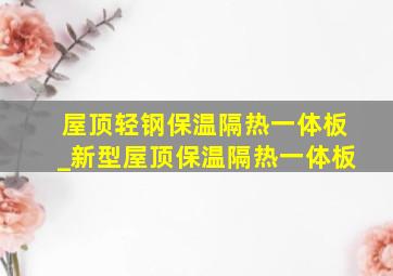 屋顶轻钢保温隔热一体板_新型屋顶保温隔热一体板