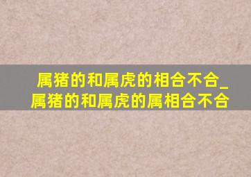 属猪的和属虎的相合不合_属猪的和属虎的属相合不合