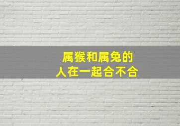 属猴和属兔的人在一起合不合