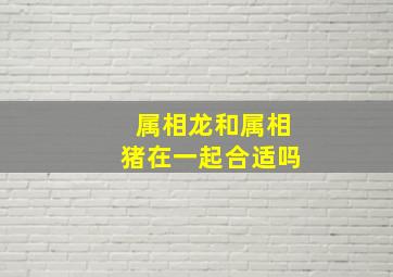 属相龙和属相猪在一起合适吗