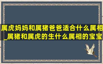 属虎妈妈和属猪爸爸适合什么属相_属猪和属虎的生什么属相的宝宝好