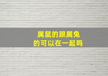 属鼠的跟属兔的可以在一起吗