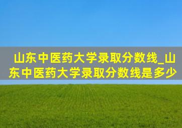 山东中医药大学录取分数线_山东中医药大学录取分数线是多少