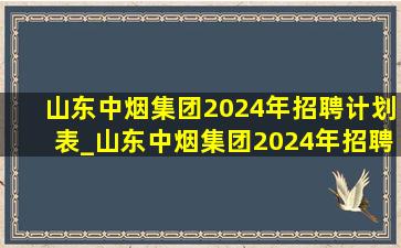 山东中烟集团2024年招聘计划表_山东中烟集团2024年招聘信息