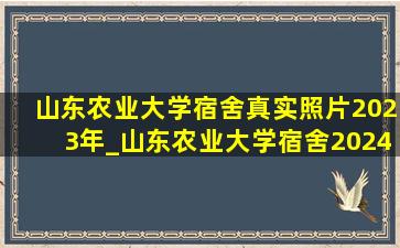 山东农业大学宿舍真实照片2023年_山东农业大学宿舍2024年宿舍状况