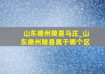 山东德州陵县马庄_山东德州陵县属于哪个区