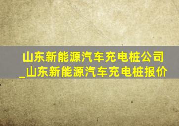 山东新能源汽车充电桩公司_山东新能源汽车充电桩报价