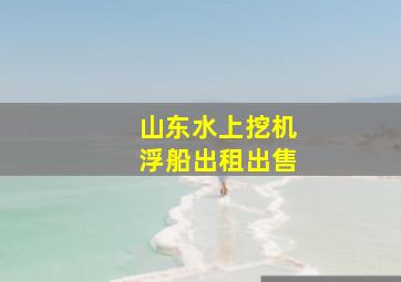 山东水上挖机浮船出租出售