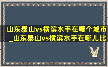 山东泰山vs横滨水手在哪个城市_山东泰山vs横滨水手在哪儿比赛