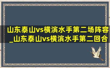 山东泰山vs横滨水手第二场阵容_山东泰山vs横滨水手第二回合(低价烟批发网)