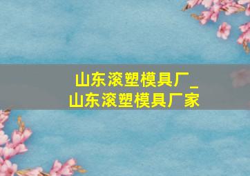 山东滚塑模具厂_山东滚塑模具厂家