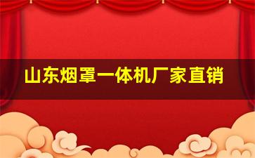 山东烟罩一体机厂家直销