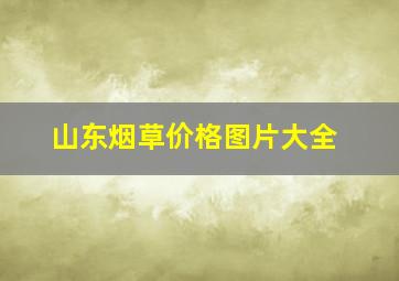 山东烟草价格图片大全