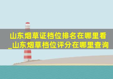 山东烟草证档位排名在哪里看_山东烟草档位评分在哪里查询