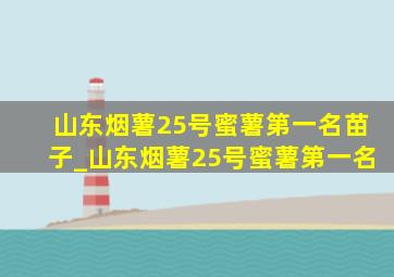 山东烟薯25号蜜薯第一名苗子_山东烟薯25号蜜薯第一名