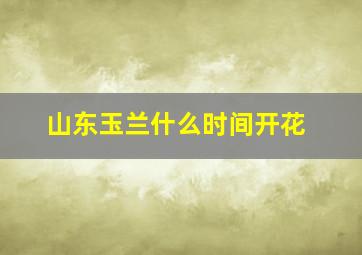 山东玉兰什么时间开花