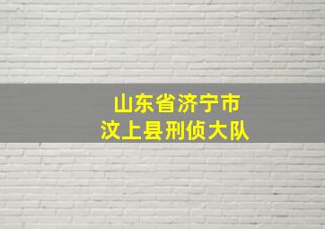 山东省济宁市汶上县刑侦大队