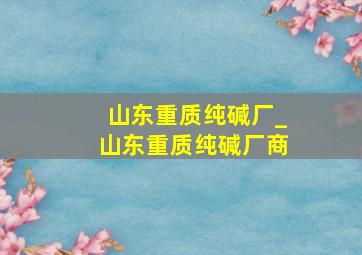 山东重质纯碱厂_山东重质纯碱厂商