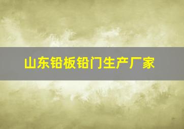 山东铅板铅门生产厂家