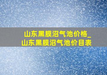 山东黑膜沼气池价格_山东黑膜沼气池价目表