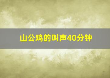 山公鸡的叫声40分钟