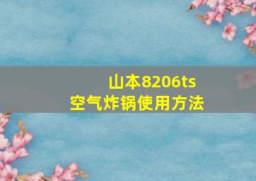 山本8206ts空气炸锅使用方法