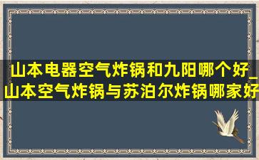 山本电器空气炸锅和九阳哪个好_山本空气炸锅与苏泊尔炸锅哪家好