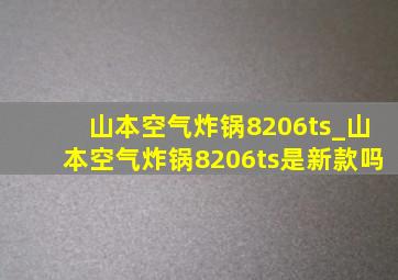 山本空气炸锅8206ts_山本空气炸锅8206ts是新款吗