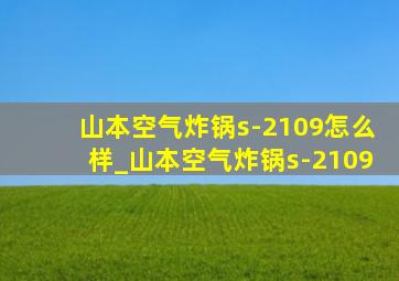 山本空气炸锅s-2109怎么样_山本空气炸锅s-2109