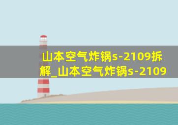 山本空气炸锅s-2109拆解_山本空气炸锅s-2109