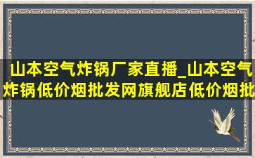 山本空气炸锅厂家直播_山本空气炸锅(低价烟批发网)旗舰店(低价烟批发网)直播