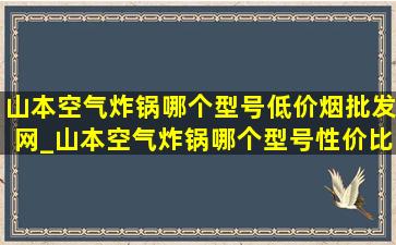 山本空气炸锅哪个型号(低价烟批发网)_山本空气炸锅哪个型号性价比高