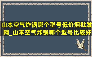 山本空气炸锅哪个型号(低价烟批发网)_山本空气炸锅哪个型号比较好