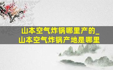 山本空气炸锅哪里产的_山本空气炸锅产地是哪里