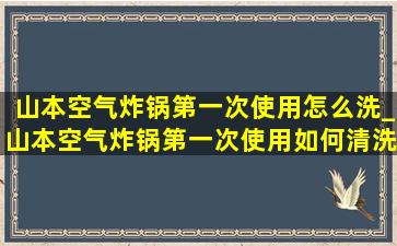 山本空气炸锅第一次使用怎么洗_山本空气炸锅第一次使用如何清洗