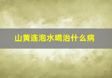 山黄连泡水喝治什么病