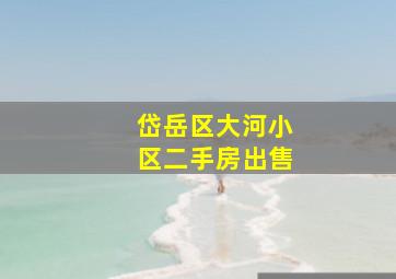 岱岳区大河小区二手房出售