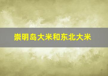 崇明岛大米和东北大米