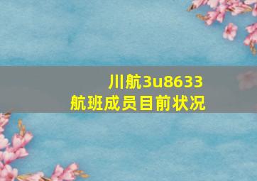 川航3u8633航班成员目前状况