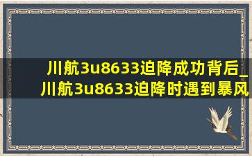 川航3u8633迫降成功背后_川航3u8633迫降时遇到暴风雨了吗