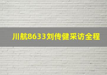 川航8633刘传健采访全程