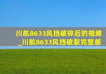 川航8633风挡破碎后的视频_川航8633风挡破裂完整版