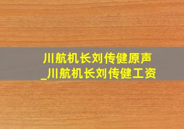 川航机长刘传健原声_川航机长刘传健工资