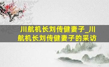 川航机长刘传健妻子_川航机长刘传健妻子的采访