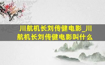 川航机长刘传健电影_川航机长刘传健电影叫什么