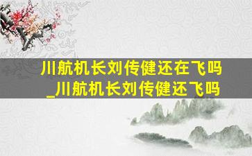 川航机长刘传健还在飞吗_川航机长刘传健还飞吗