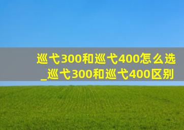 巡弋300和巡弋400怎么选_巡弋300和巡弋400区别