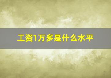 工资1万多是什么水平