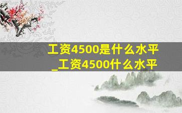 工资4500是什么水平_工资4500什么水平